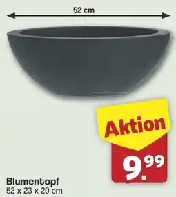 Famila Nord West Blumentopf Angebot
