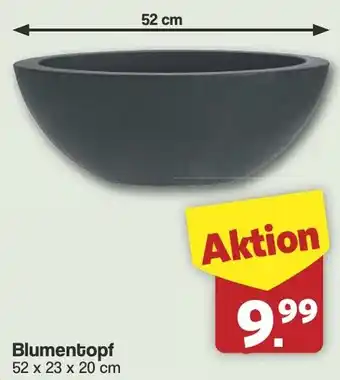 Famila Nord West Blumentopf Angebot