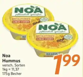 inkoop Noa Hummus Angebot