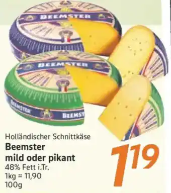 inkoop Holländischer Schnittkäse Beemster mild oder pikant Angebot