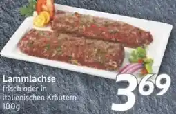 inkoop Lammlachse Angebot