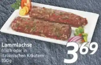 inkoop Lammlachse Angebot