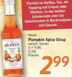 inkoop Monin Pumpkin Spice Sirup Angebot