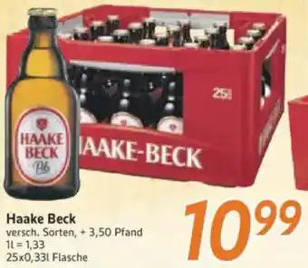 inkoop Haake Beck Angebot