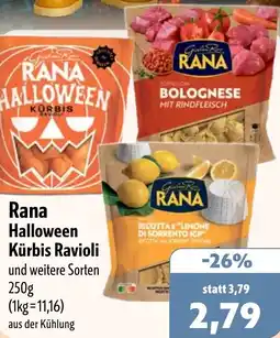 Aktiv Irma Rana Halloween Kürbis Ravioli Angebot
