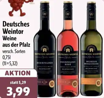 Aktiv Irma Deutsches Weintor Weine aus der Pfalz Angebot