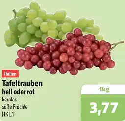 Aktiv Irma Italien Tafeltrauben hell oder rot Angebot