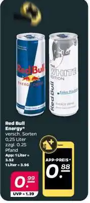 NETTO RED BULL Energy Angebot