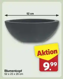 Famila Nord Ost Blumentopf Angebot