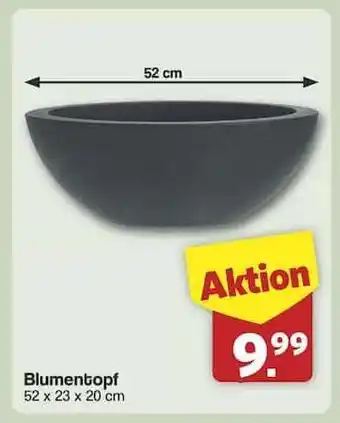 Famila Nord Ost Blumentopf Angebot