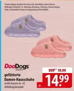 Famila Nord Ost DooDogs Shoes Angebot