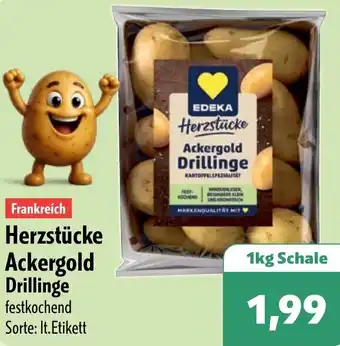 Aktiv Irma EDEKA Herzstücke Ackergold Drillinge Angebot