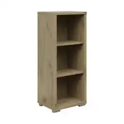 XXXLutz Voleo Aktenregal Angebot