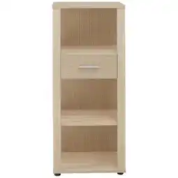 XXXLutz Stylife Aktenregal Angebot
