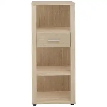 XXXLutz Stylife Aktenregal Angebot