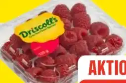 Edeka Frischemarkt Driscoll's Himbeeren Angebot