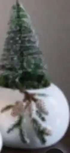 XXXLutz X Mas Übertopf Angebot