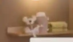 XXXLutz Paidi Wandregal Malio Angebot