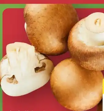Aldi Nord Kulturchampignons Angebot