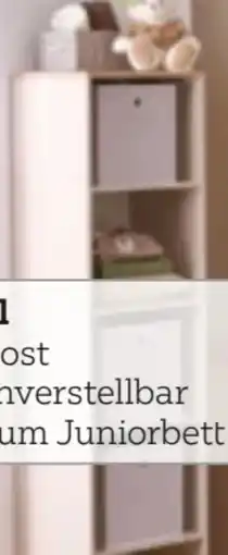 XXXLutz Paidi Standregal Malio Angebot