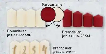 Aldi Nord Home Creation Adventsstumpen Angebot