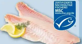REWE Center Rotbarsch-Filet Angebot