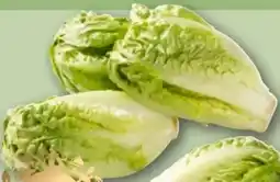 REWE Center Rewe Feine Welt Römersalat Angebot