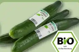 REWE Center Rewe Bio Bio-Salatgurke Angebot