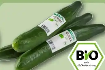 REWE Center Rewe Bio Bio-Salatgurke Angebot