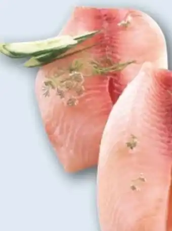 REWE Center Tilapiafilet Angebot