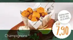 XXXLutz Champignons Angebot