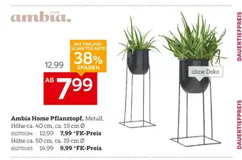 XXXLutz Ambia home pflanztopf Angebot