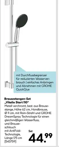 Hellweg Grohe brausestangen-set vitalio start 110 Angebot