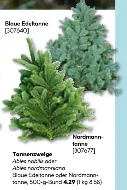 Hellweg Tannenzweige Angebot