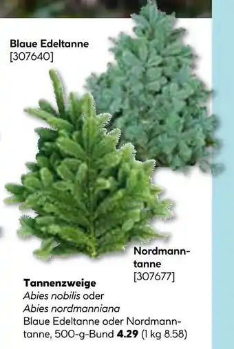 Hellweg Tannenzweige Angebot