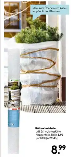 Hellweg Kälteschutzfolie Angebot