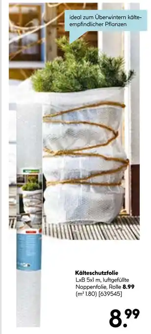 Hellweg Kälteschutzfolie Angebot
