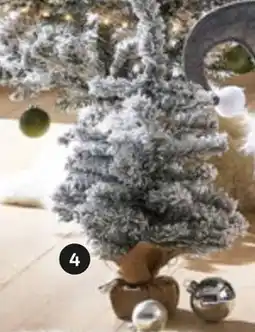 XXXLutz Minibaum Angebot