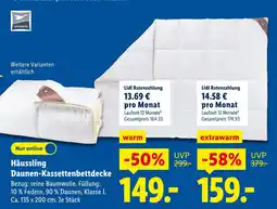 Lidl Häussling daunen-kassettenbettdecke warm Angebot