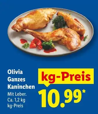 Lidl Olivia ganzes kaninchen Angebot
