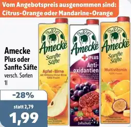 Aktiv Irma Amecke Plus oder Sanfte Säfte Angebot