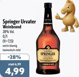 Aktiv Irma Springer Urvater Weinbrand Angebot