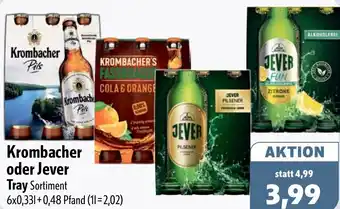 Aktiv Irma Krombacher oder Jever Tray Angebot