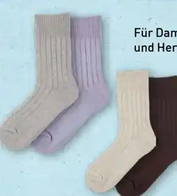 Aldi Nord Up2Fashion Damen Haussocken 2 Paar Angebot