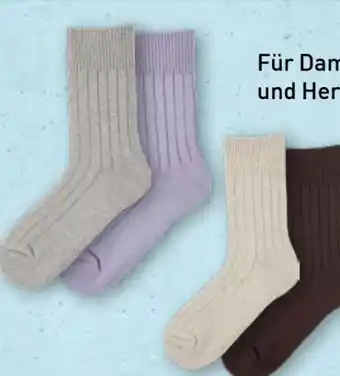 Aldi Nord Up2Fashion Damen Haussocken 2 Paar Angebot