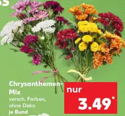 Kaufland Chrysanthemen Mix Angebot