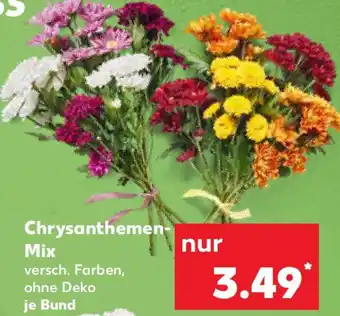 Kaufland Chrysanthemen Mix Angebot