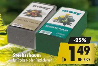 Mäc Geiz mosy Steckschaum Angebot