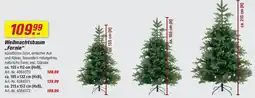 toom Baumarkt Weihnachtsbaum ,,Fernie" Angebot