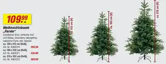 toom Baumarkt Weihnachtsbaum ,,Fernie" Angebot